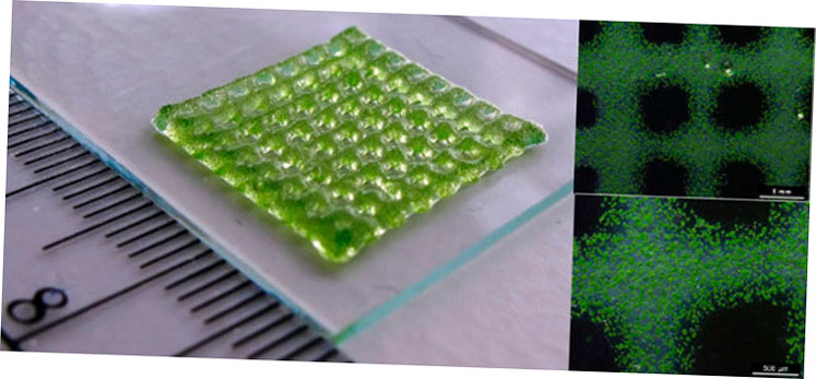 los investigadores imprimen nanoparticulas sensibles al oxigeno en tejidos complejos 5f6bdec51b110