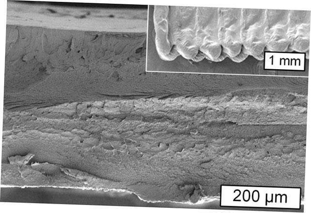 mit desarrolla un metodo de bioimpresion de celulosa 5f6bea1b7e63c