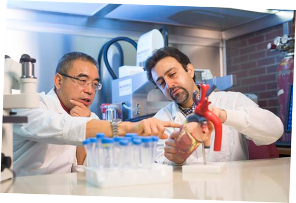 parche de celulas madre bioprint de los investigadores para el tratamiento de enfermedades cardiacas 5f6be74f45ae0