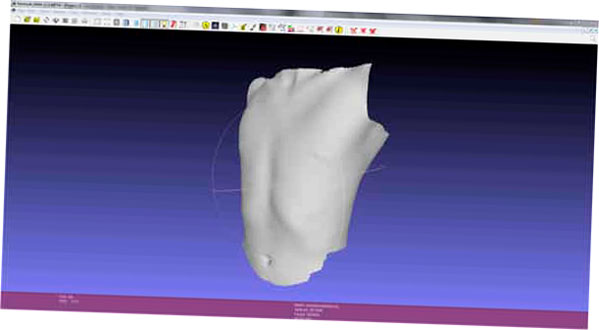 Escaneo 3D de un torso humano (sin textura), visto en Mesh Lab.