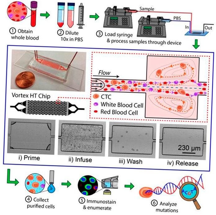 ucla desarrolla microchips medicos impresos en 3d 5f6be916c00f1